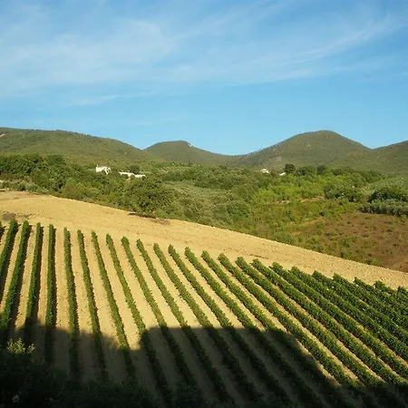 Agriturismo Poggio Della Volara Appartement