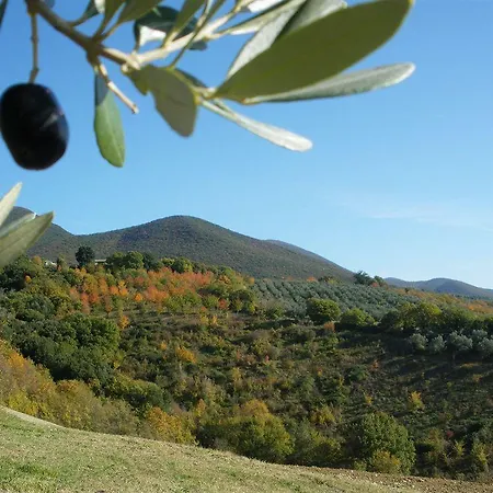 Agriturismo Poggio Della Volara Appartement *